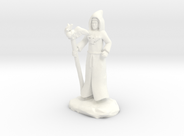 Dracandros, dragon cultist with Staff 3d printed