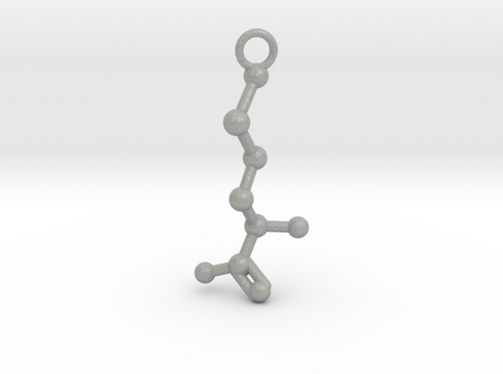 D-Methionine Molecule Necklace Earring 3d printed