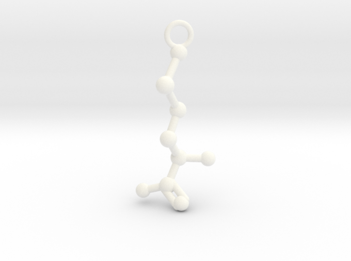 D-Methionine Molecule Necklace Earring 3d printed