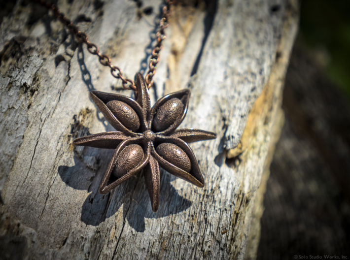 Anise Pendant 3d printed Polished Bronze Steel