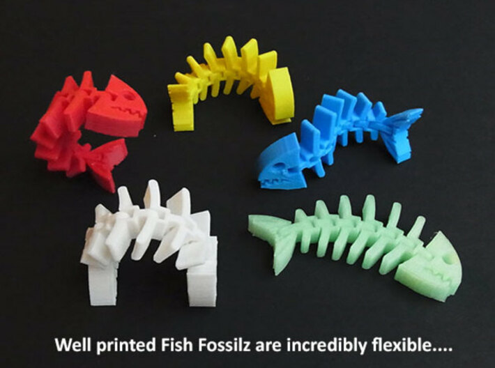 Fish Skeleton 3d printed 