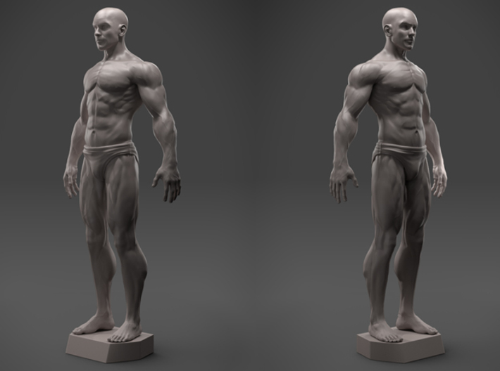 Male Anatomy Sculpture Mvy8m7u2c By Sculptorhec