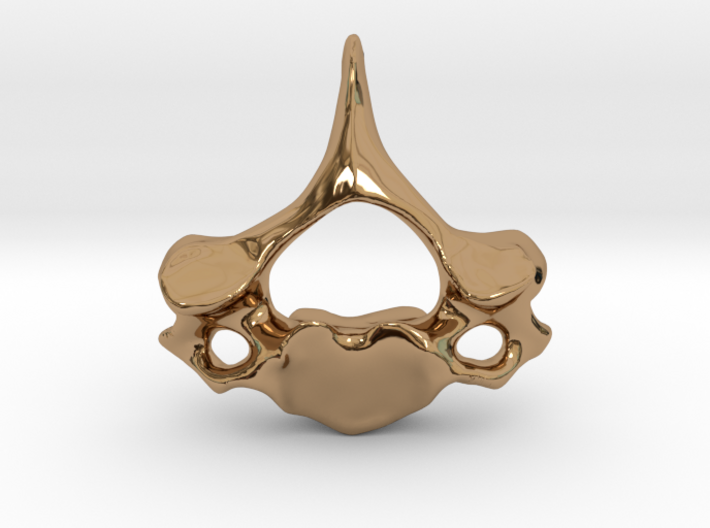 Cervical Neck Vertebra from a Human 3d printed