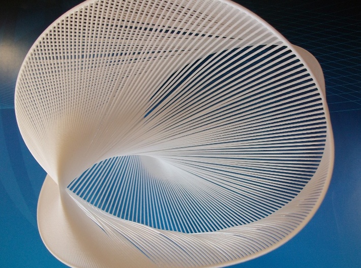 Stringy Cardioid 3d printed