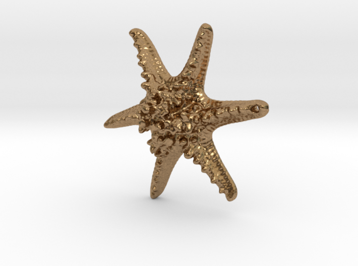 Horned Sea Star 3d printed