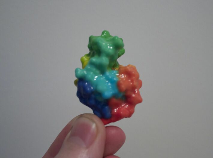 Lysozyme molecule 3d printed