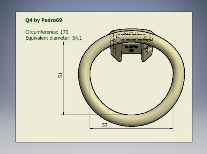 Q4-T170-06 3d printed 