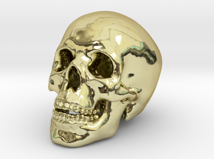Human Skull - medium 3d printed