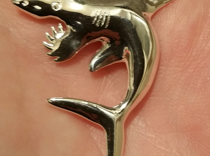 Helicoprion Pendant 3d printed 