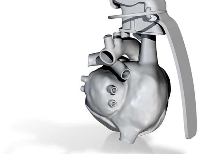 Heart Gerndae 3d printed Heart