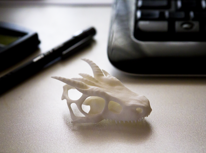 Small Dragon Skull 3d printed 