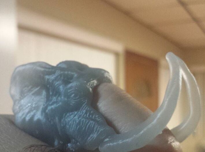 Elephant Ring Size 7 3d printed Print test on my Form 1
