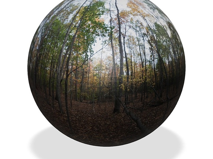 Forest PanoSphere - upstate New York (1&quot;) 3d printed