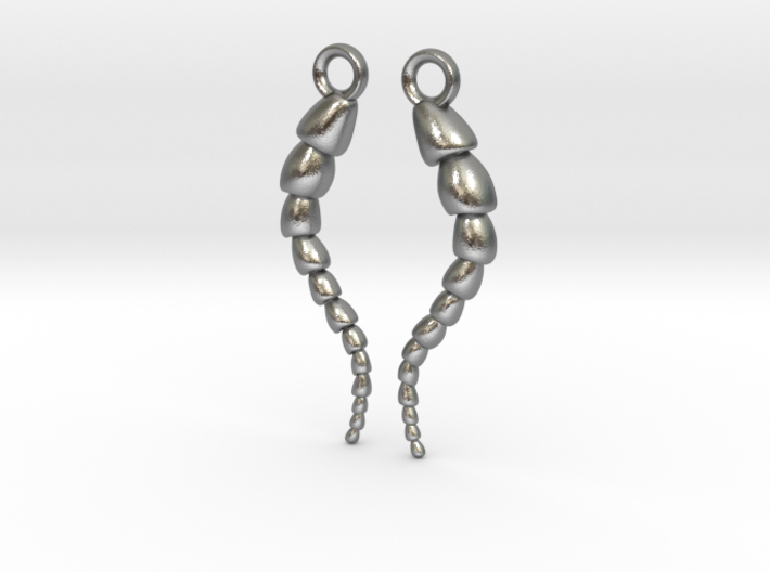 Leptohalysis Benthic Foraminiferan Earrings 3d printed