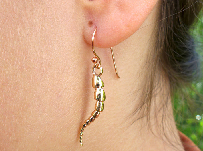 Leptohalysis Benthic Foraminiferan Earrings 3d printed Leptohalysis earrings in polished bronze