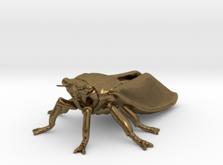 Cicada 3d printed