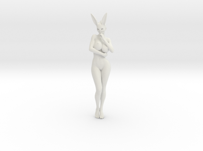 Bunny lady 004 1/10 3d printed