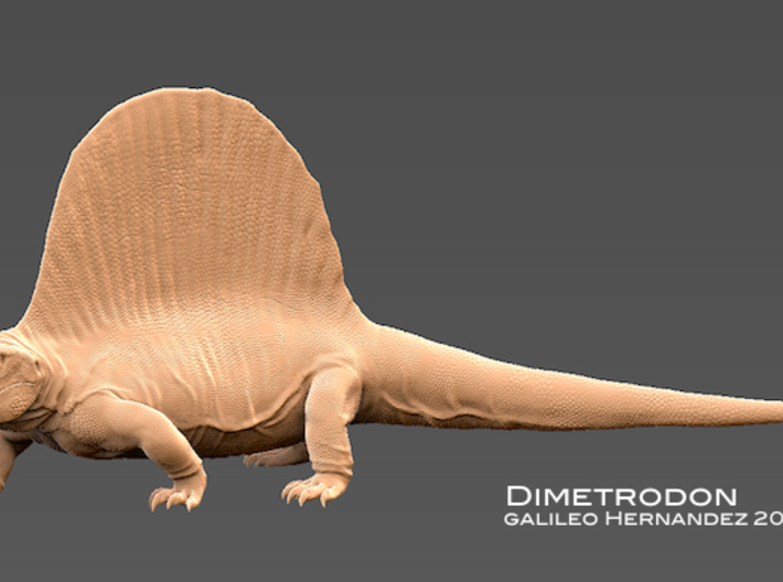 Dimetrodon 1:20 v1  3d printed 