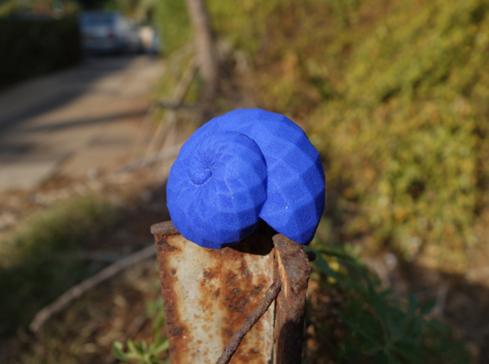 Snail Shell 3d printed Snail Shell - in Blue Strong and Flexible #2