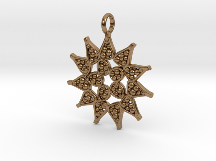 Pediastrum Algae pendant - Science Jewelry 3d printed