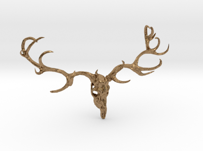 Deer bone head  3d printed 