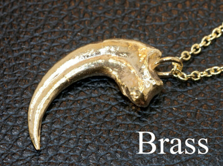 Amazon.com: Dinosaur Tooth Necklace