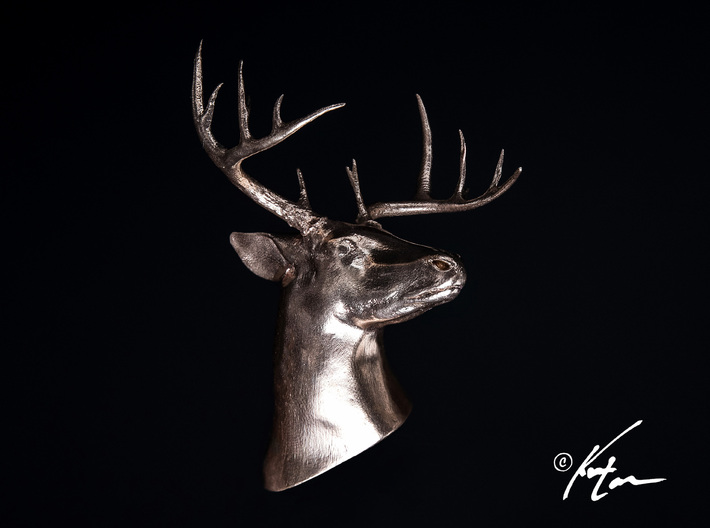 White Tail Deer Mount 3d printed Bronze Casting of the White Tail Mount