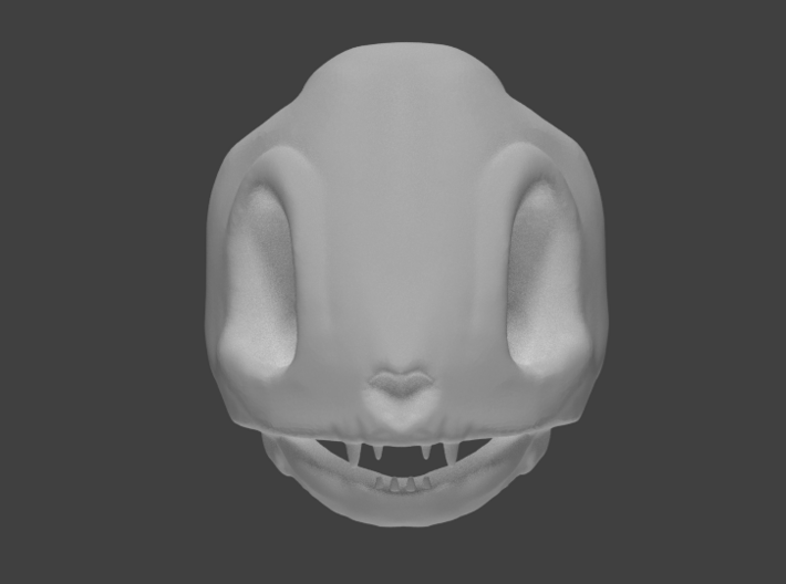 Eevee Skull 3d printed Front Render
