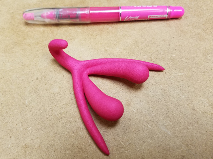 Life-scale Clitoris and Bulbs 3d printed