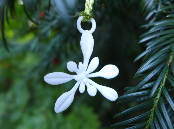 Arabidopsis Ornament - Science Gift 3d printed Arabidopsis Ornament in white nylon plastic