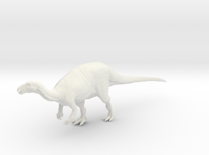 Camptosaurus (Medium / Large size) 3d printed 