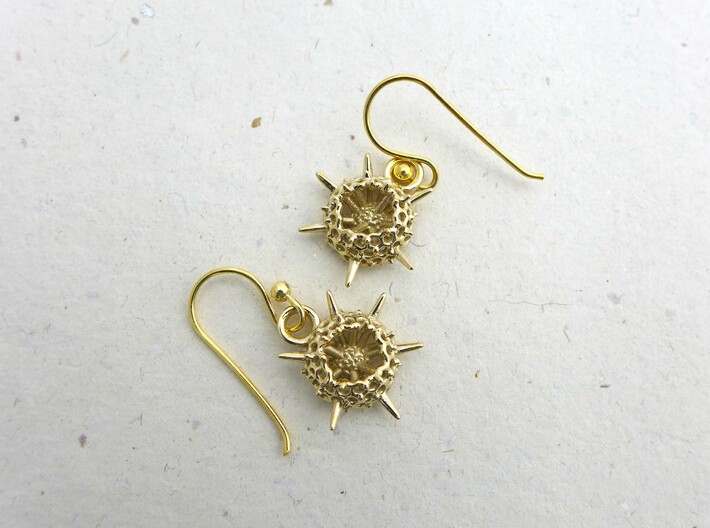 Spumellaria Earrings - Science Jewelry 3d printed Spumellaria earrings in polished brass