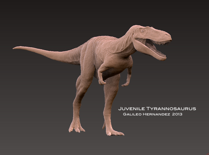 Juvenile Tyrannosaurus running 3D model 3D printable