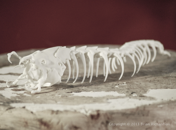 Mongolian Death Worm 3d printed