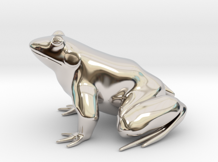 Frog, solid 3d printed