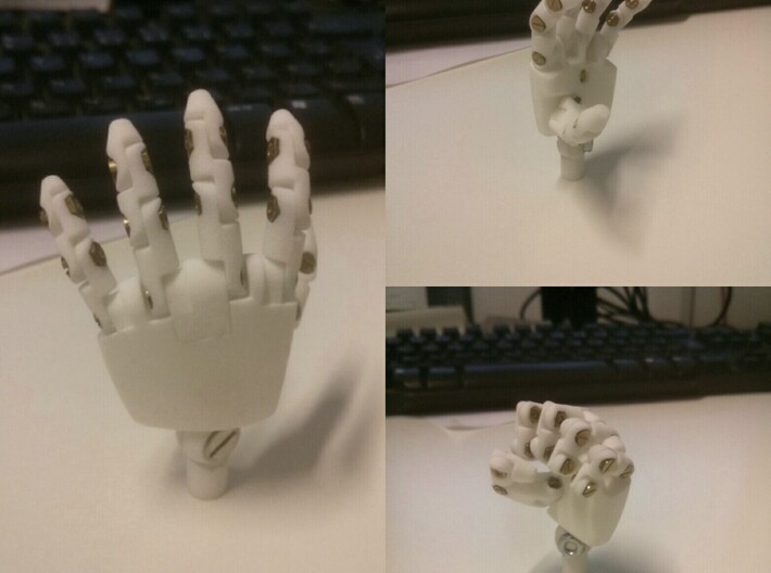Hand Right 3d printed 