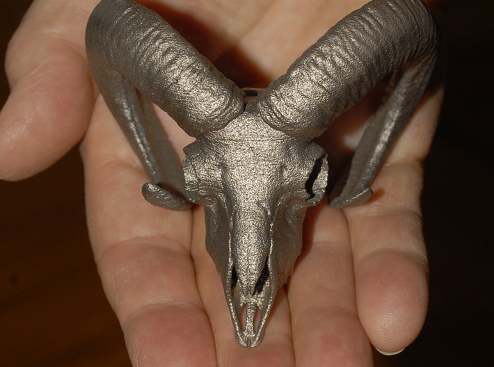 Ram Skull - 9 inches 3d printed Stainless steel print