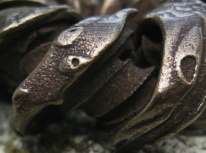Trachoid II 3d printed Polished bronze