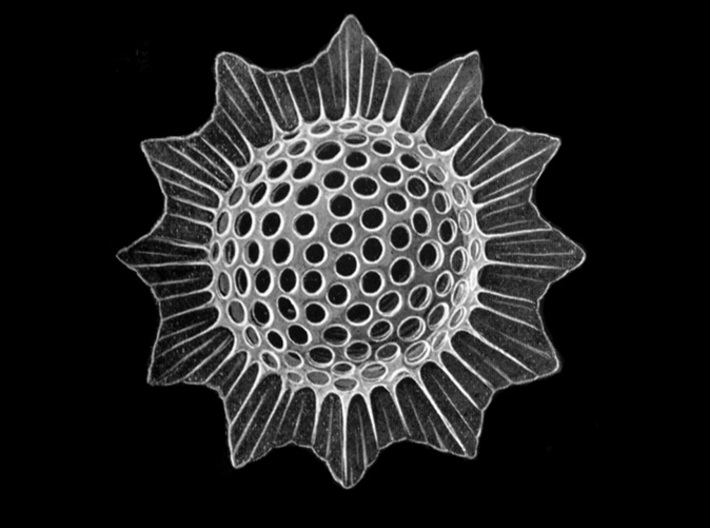 Trochodiscus stellaris pendant ~ 46mm 3d printed Trochodiscus stellaris from plate 91 of Haeckel's 'Kunstformen der Natur' (Art Forms of Nature) 1904