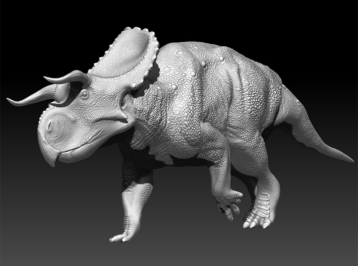 Nasutoceratops 1:40 scale model 3d printed