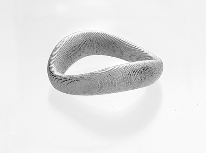 Ring Slice 3d printed