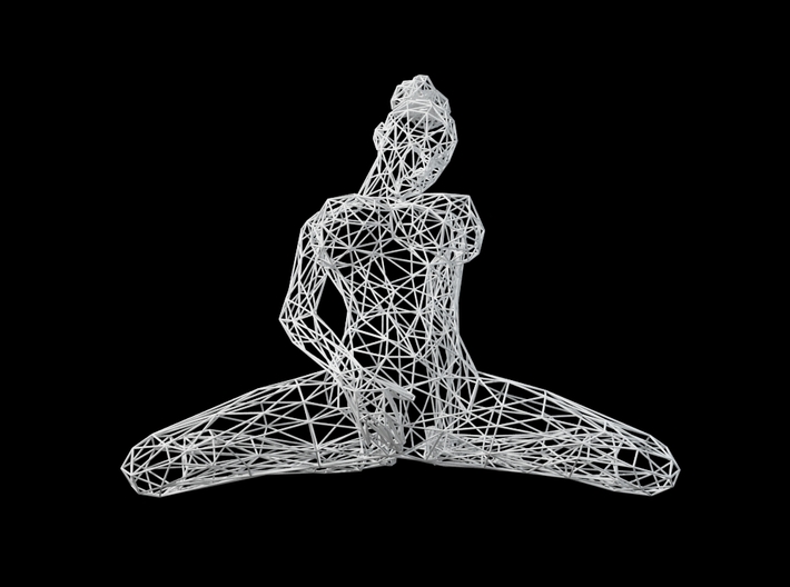 Wireframe sexy woman 3d printed 