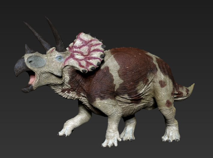 Triceratops (Medium/Large size) 3d printed 