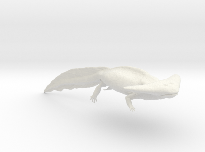 Diplocaulus (Medium / Large size) 3d printed 