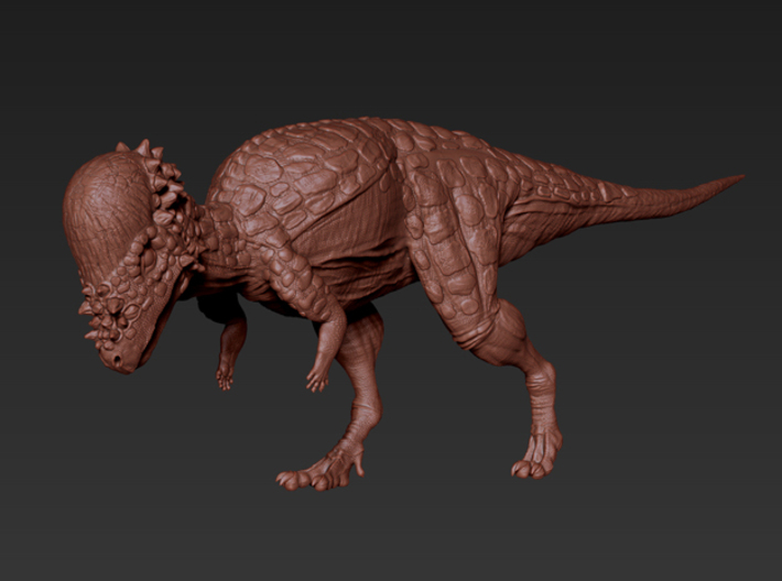 Pachycephalosaurus (Medium size) 3d printed 