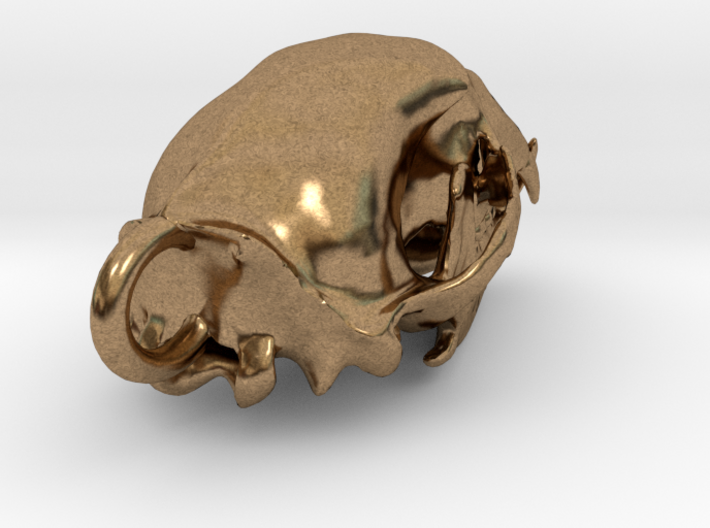 Bear skull pendant 3d printed