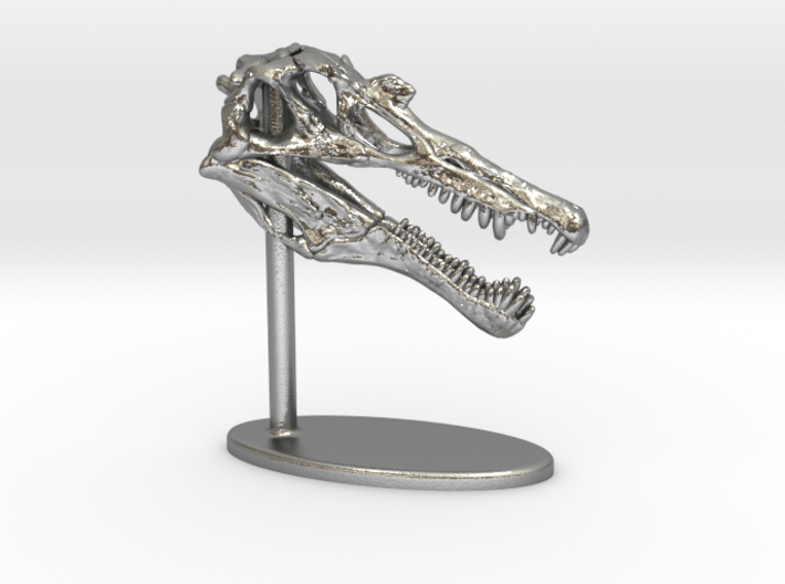 Spinosaurus Skull 3d printed
