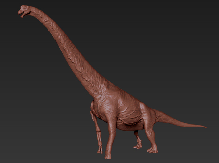Brachiosaurus Half Skeleton (Large / Extra Large   3d printed 