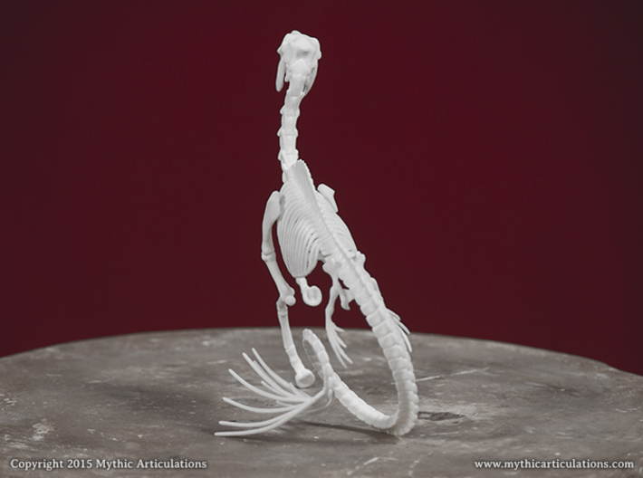 Hippocampus Skeleton 3d printed 