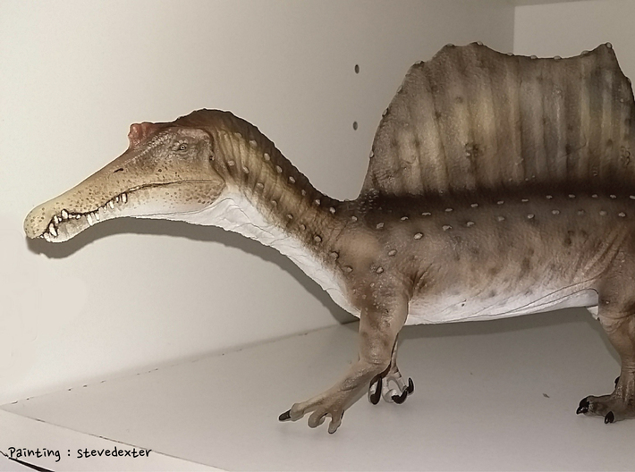 Spinosaurus concept.01 (Medium/Extra Large size) 3d printed 